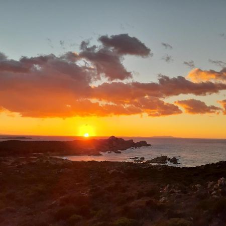 Un Angolo Di Paradiso A Pochi Passi Dal Mare Nel Villaggio Calarossa 罗萨岛 外观 照片